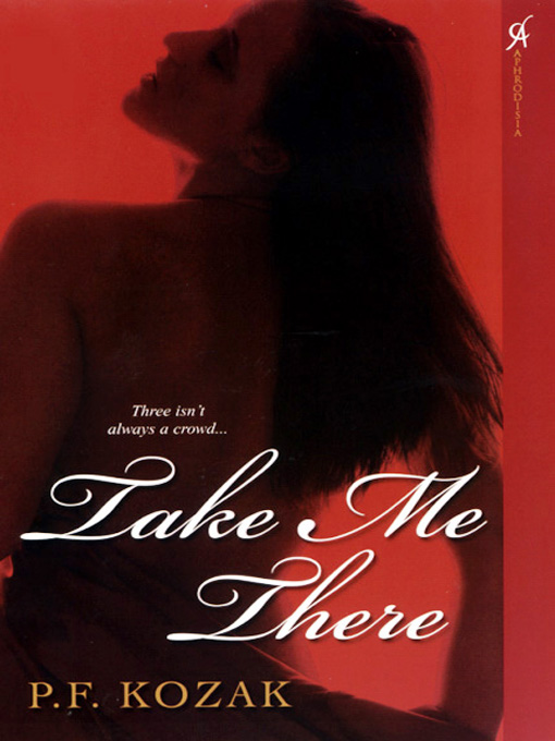 Title details for Take Me There by P.F. Kozak - Wait list